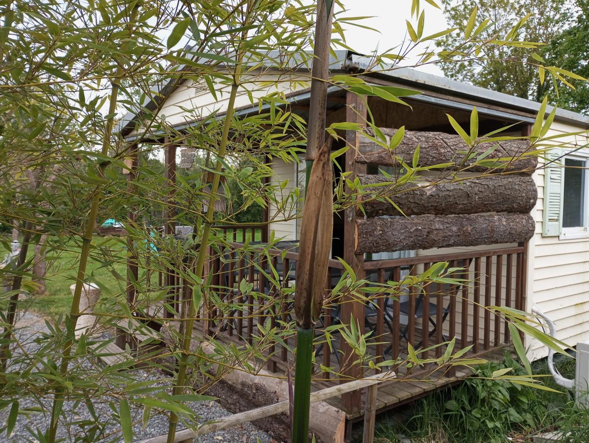 Cabanon Grenouille - Le Pal Saint-Martin-des-Lais Esterno foto